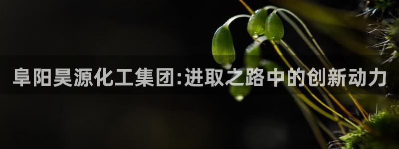 球盟会里面有打牌的嘛知乎：阜阳昊源化工集团:进取之路中的创新