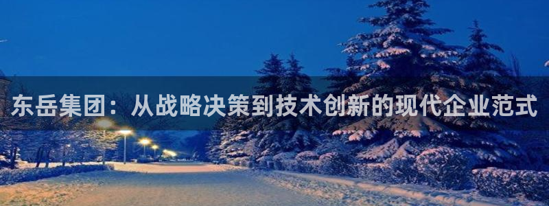 球盟会登陆入口：东岳集团：从战略决策到技术创新的现代企业范式