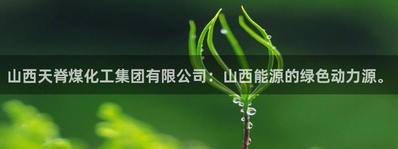 球盟会qm：山西天脊煤化工集团有限公司：山西能源的绿色动力源