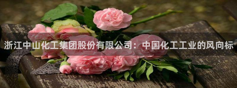 球盟会qmh网址：浙江中山化工集团股份有限公司：中国化工工业