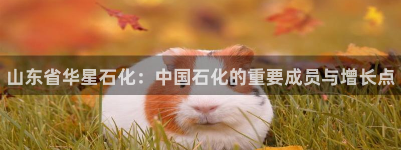 球盟会几点玩合适：山东省华星石化：中国石化的重要成员与增长点