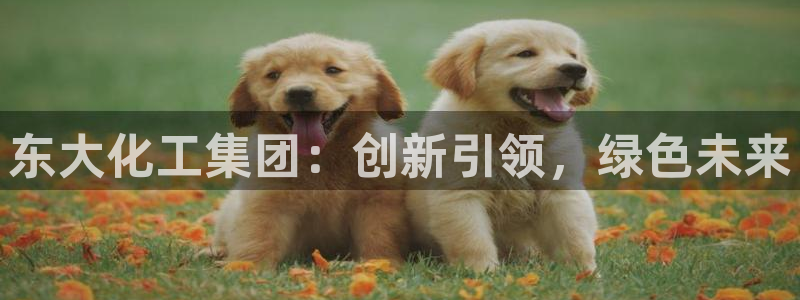 球盟会app最新地址在哪找：东大化工集团