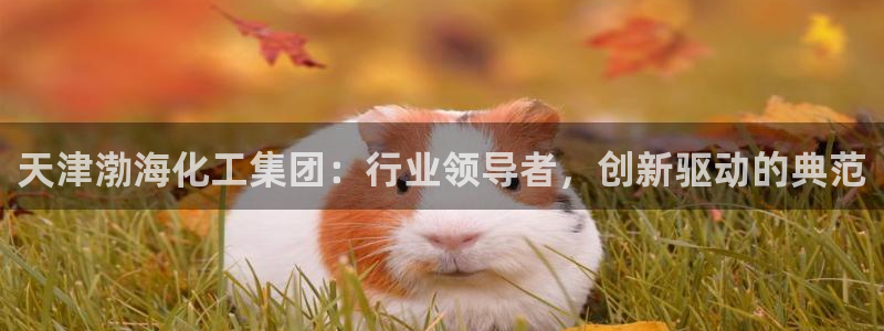 球盟会qmh官网：天津渤海化工集团：行业