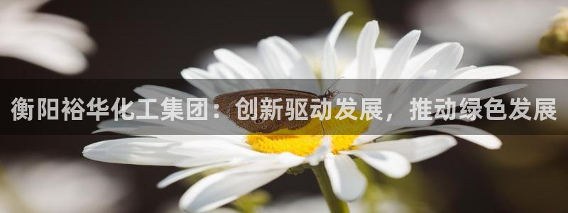 球盟会能退钱吗现在：衡阳裕华化工集团：创新驱动发展，推动绿色