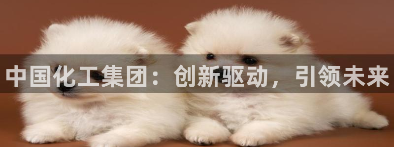 球盟会可以提现么现在