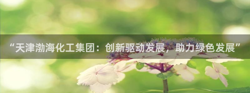球盟会手机网页版