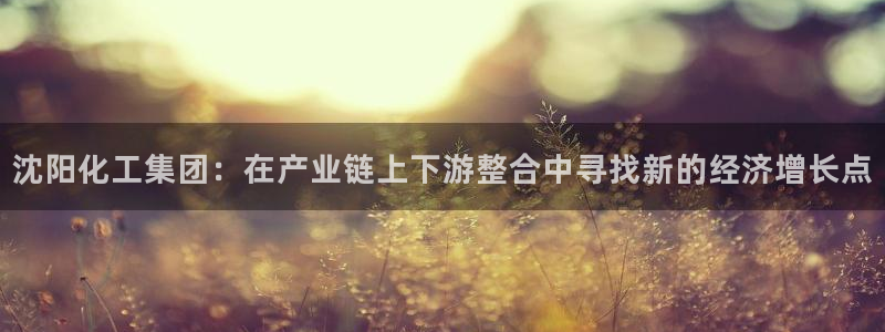 球盟会里面有打牌的嘛是真的吗：沈阳化工集团：在产业链上下游整