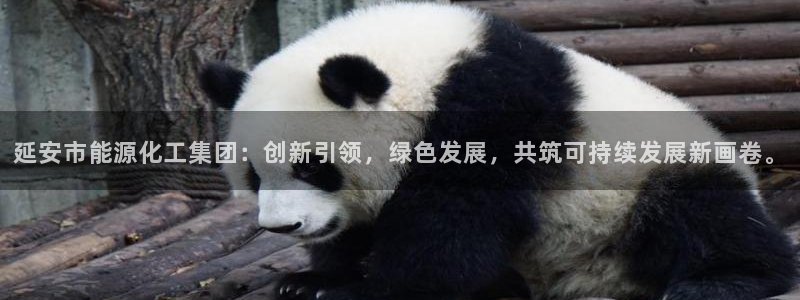 球盟会app入口
