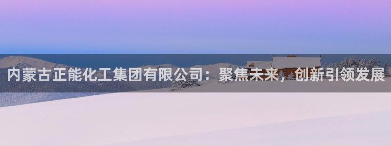 球盟会有限公司怎么样：内蒙古正能化工集团