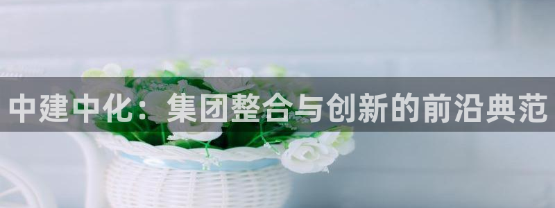 球盟会和中欧：中建中化：集团整合与创新的前沿典范