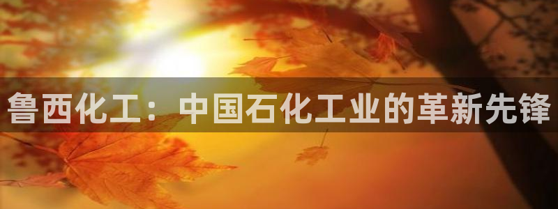 球盟会官方网站入口：鲁西化工：中国石化工