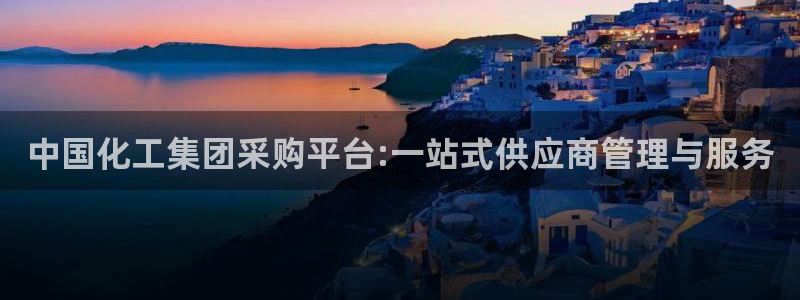 球盟会有没有黑单的：中国化工集团采购平台:一站式供应商管理与
