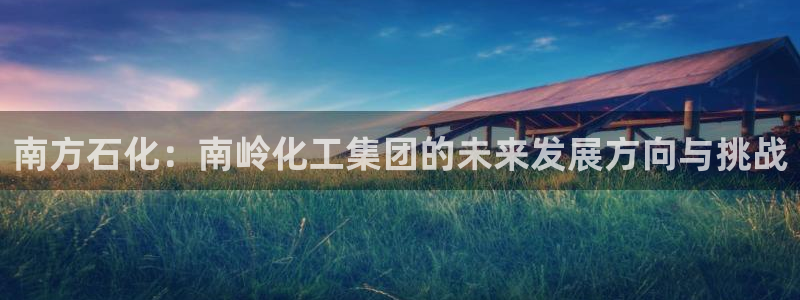 球盟会中国网页登录：南方石化：南岭化工集团的未来发展方向与挑
