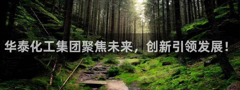 球盟会可以提现么现在
