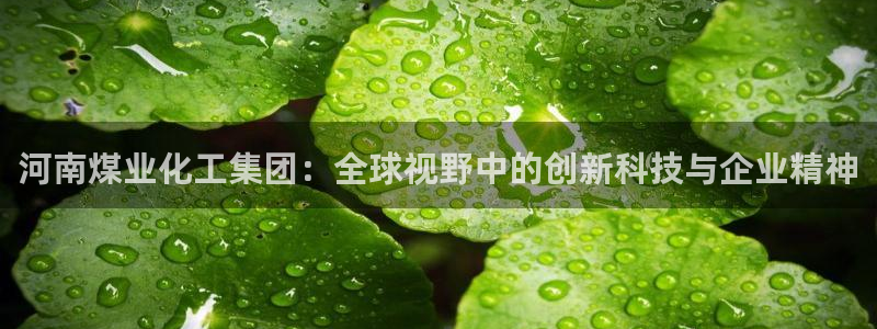 球盟会官方版下载地址：河南煤业化工集团：全球视野中的创新科技