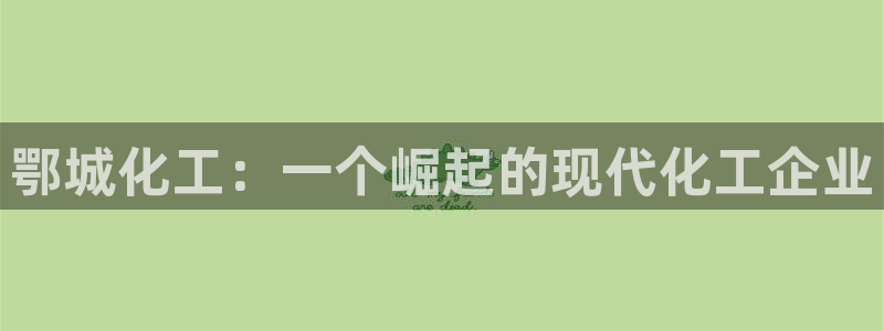 球盟会官方下载