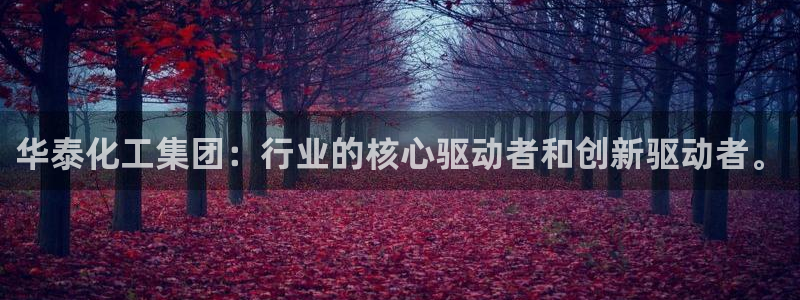球盟会登录网址：华泰化工集团：行业的核心驱动者和创新驱动者。