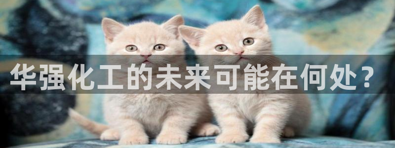 球盟会平台会黑单吗