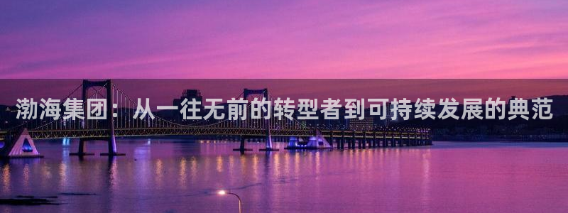 球盟会和中欧会的区别：渤海集团：从一往无前的转型者到可持续发