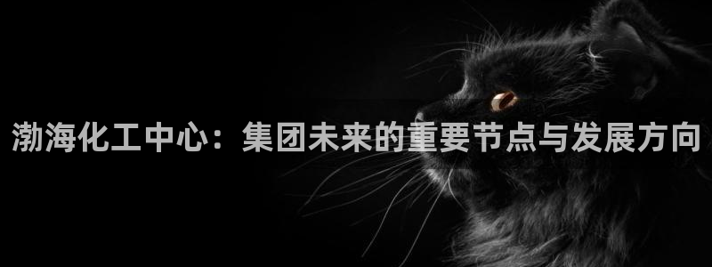 球盟会官方最新入口：渤海化工中心：集团未来的重要节点与发展方