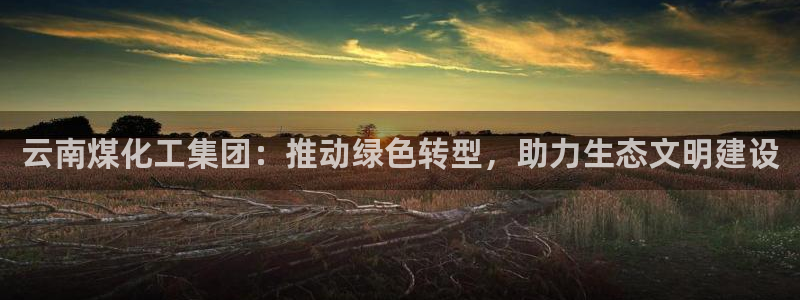 球盟会app网址多少：云南煤化工集团：推动绿色转型，助力生态