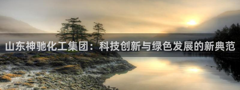球盟会和中欧：山东神驰化工集团：科技创新与绿色发展的新典范