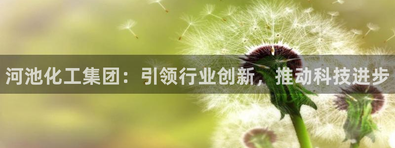 球盟会优惠码：河池化工集团：引领行业创新，推动科技进步