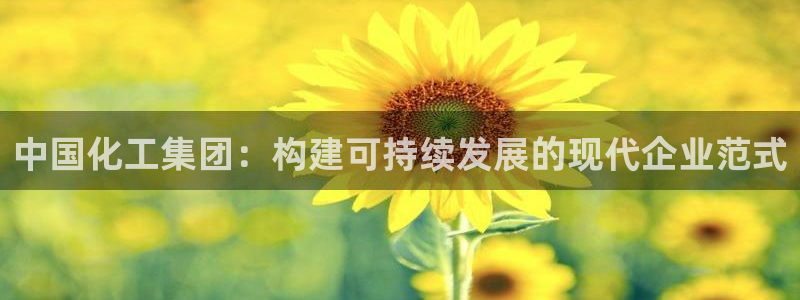 球盟会黑款吗还是白款：中国化工集团：构建可持续发展的现代企业