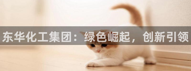 球盟会下款快吗：东华化工集团：绿色崛起，创新引领
