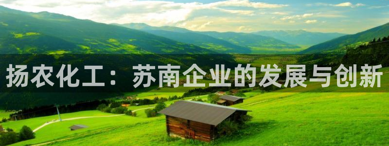 球盟会app入口：扬农化工：苏南企业的发展与创新