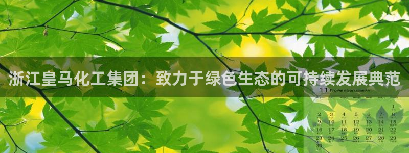 球盟会app最新地址在哪：浙江皇马化工集团：致力于绿色生态的