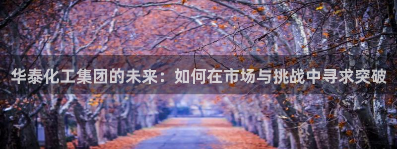 球盟会app最新地址在哪看：华泰化工集团的未来：如何在市场与
