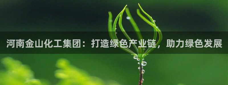 球盟会用的客服聊天是哪个软件：河南金山化工集团：打造绿色产业