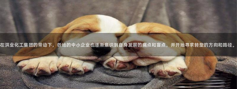 球盟会官方网站入口：在洪业化工集团的带动下，各地的中小企业也