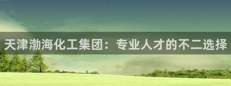 球盟会用的客服聊天是哪个软件：天津渤海化工集团：专业人才的不