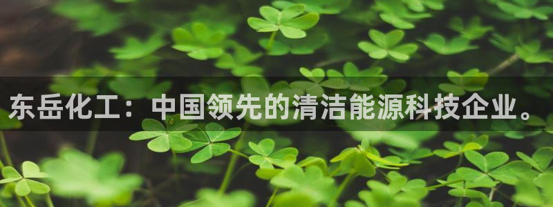 球盟会在线官网：东岳化工：中国领先的清洁能源科技企业。
