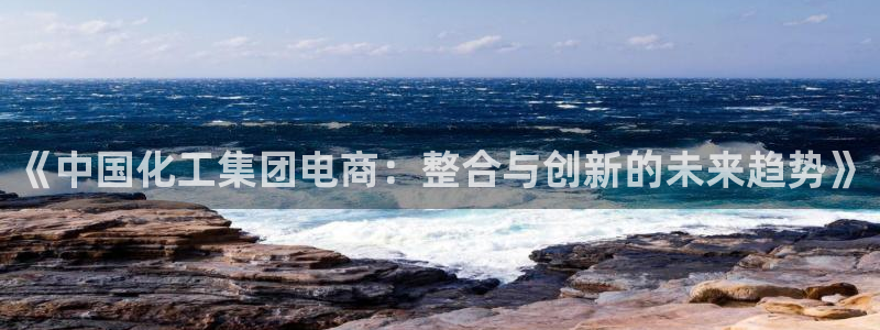 球盟会app安装：《中国化工集团电商：整合与创新的未来趋势》