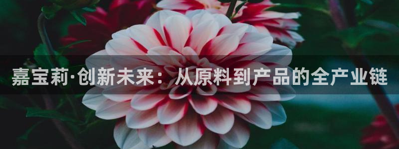 球盟会几点玩合适