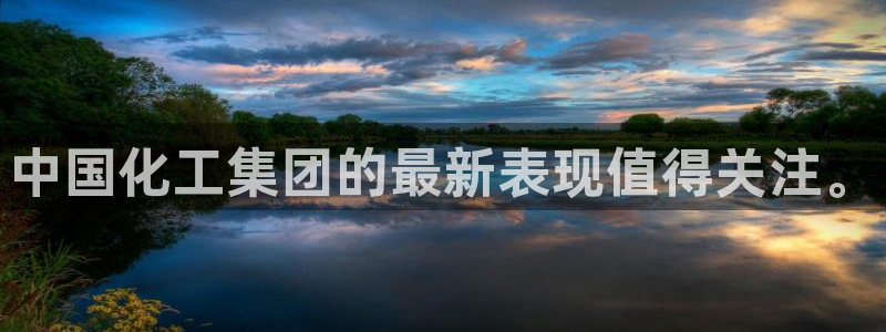 球盟会类似的网站：中国化工集团的最新表现值得关注。