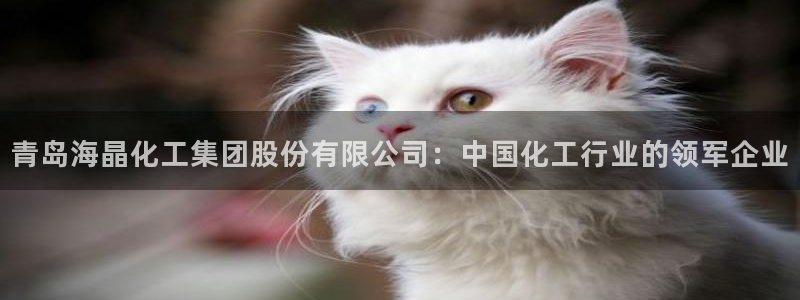球盟会登陆入口：青岛海晶化工集团股份有限公司：中国化工行业的