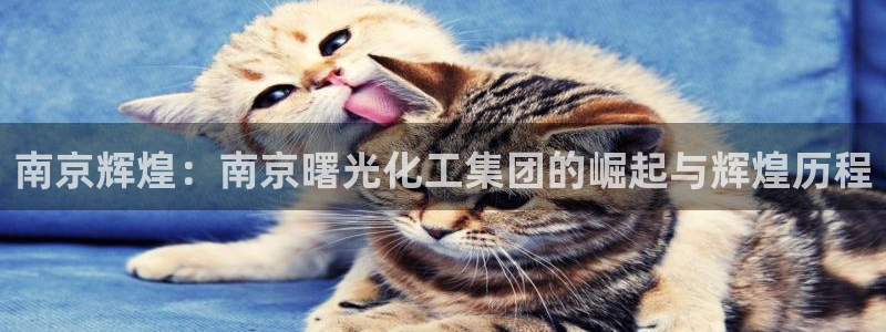 球盟会官方登录平台入口：南京辉煌：南京曙