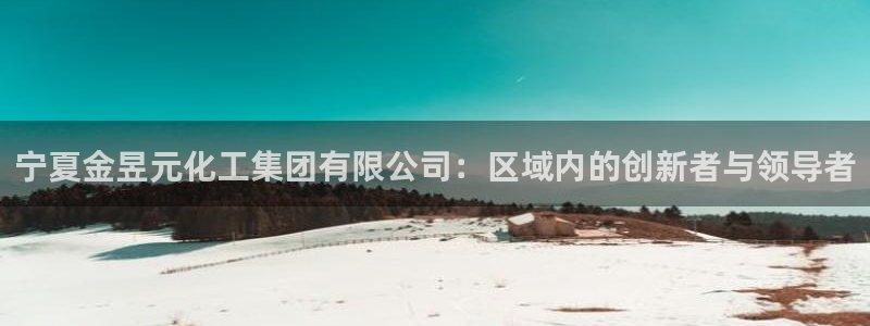 球盟会电子：宁夏金昱元化工集团有限公司：区域内的创新者与领导