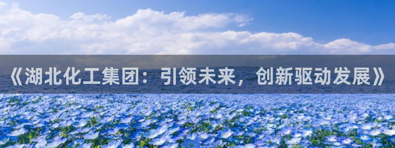 球盟会最新地址备用