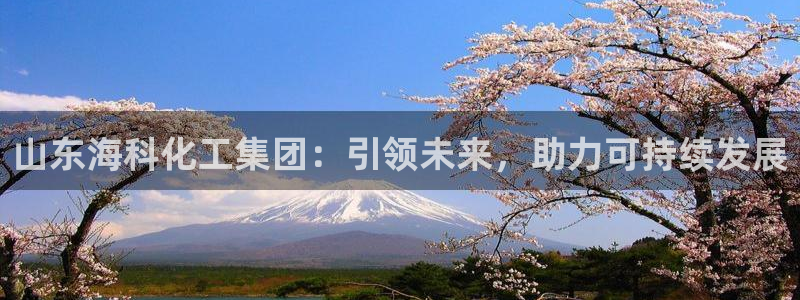 球盟会国际官网