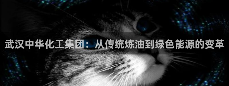 球盟会进不去吗