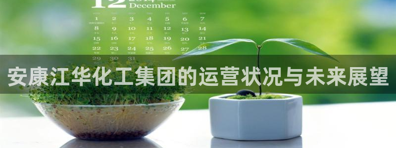 球盟会和中欧会的区别：安康江华化工集团的