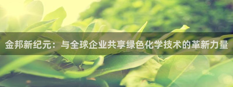 球盟会和中欧会的区别：金邦新纪元：与全球