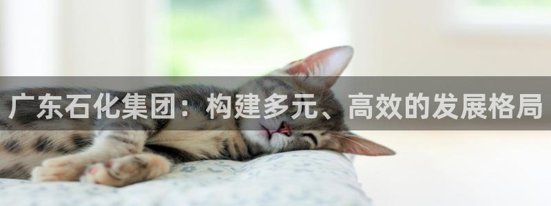 球盟会电子游戏平台：广东石化集团：构建多元、高效的发展格局