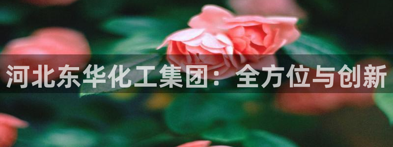 球盟会几点玩合适：河北东华化工集团：全方位与创新