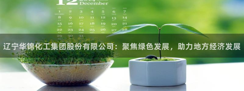 球盟会官方网页登录：辽宁华锦化工集团股份
